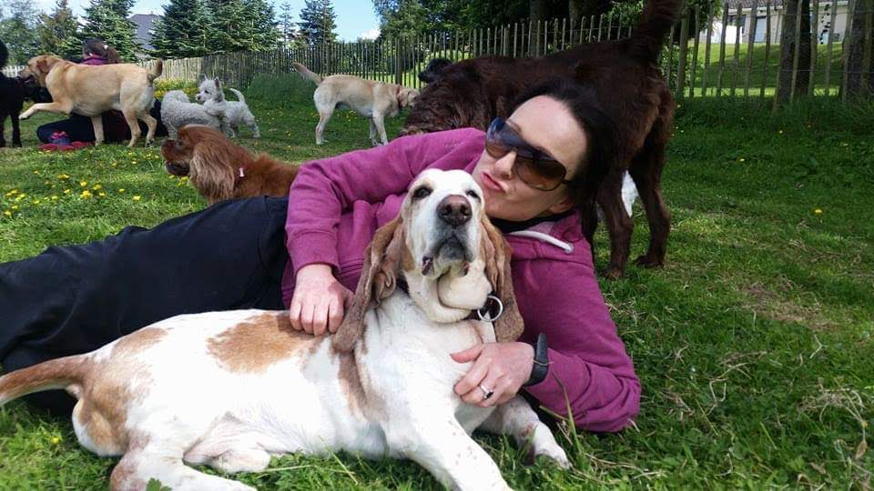 My Pals Doonane Dogs Boarding Kennels, Dublin