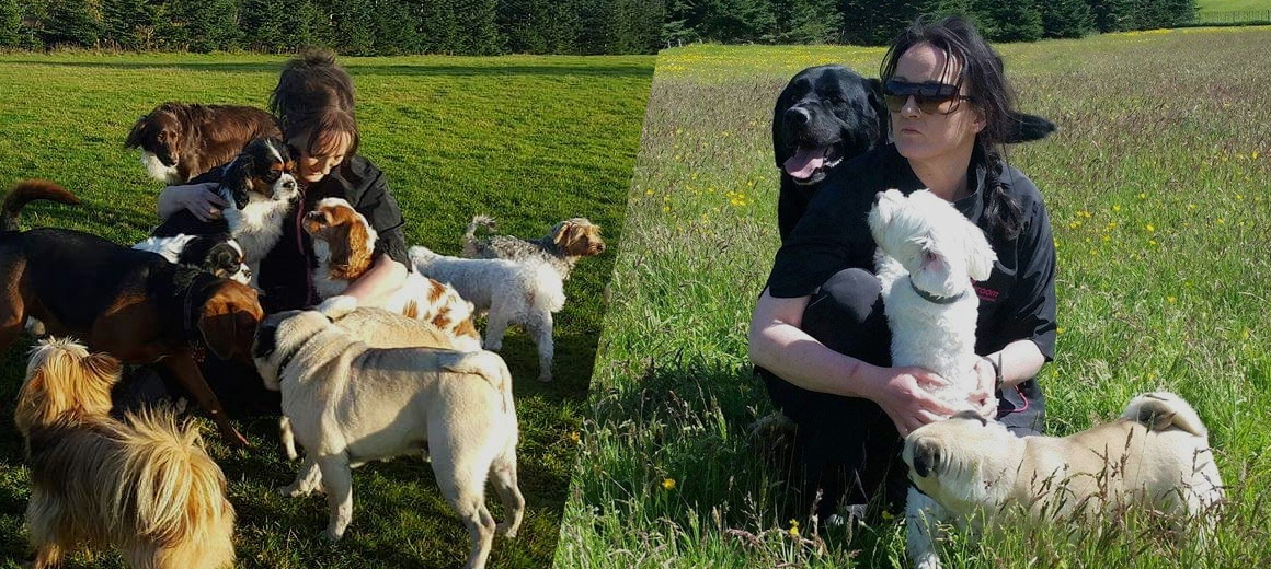 About Us Doonane Dogs Boarding Kennels, Dublin