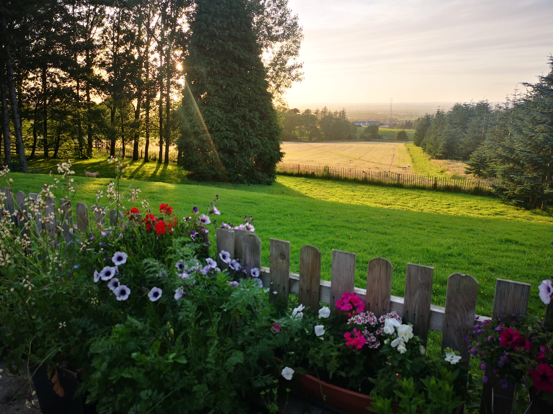 Deluxe Kennels Doonane Dogs Boarding Kennels, Dublin