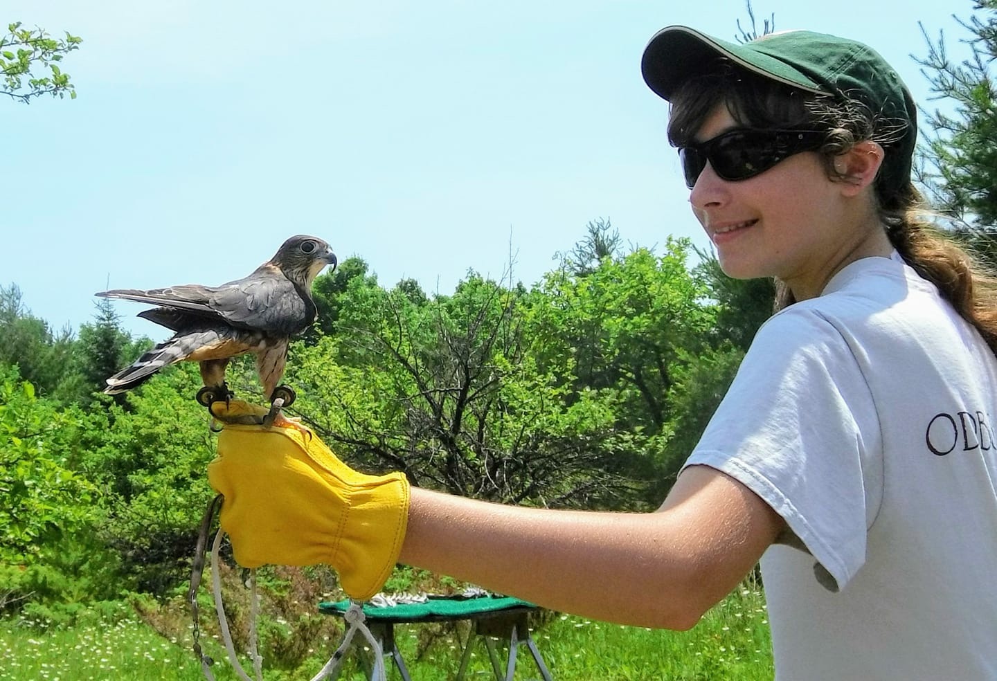 Open Door Bird Sanctuary Launches Raptor Rambles Door County Today