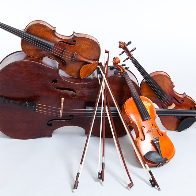 Griffon String Quartet Hiring New Musicians Door County Today