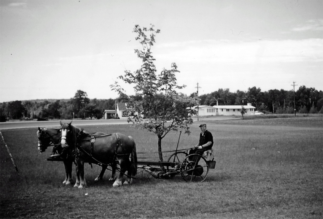 Door County History in Pictures HorseDrawn Mower, 1955 Door County