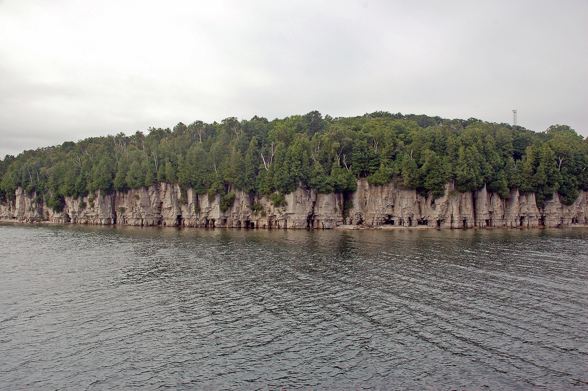 Lake Michigan Monarch Migration Stronghold Turns 105 Door County Pulse