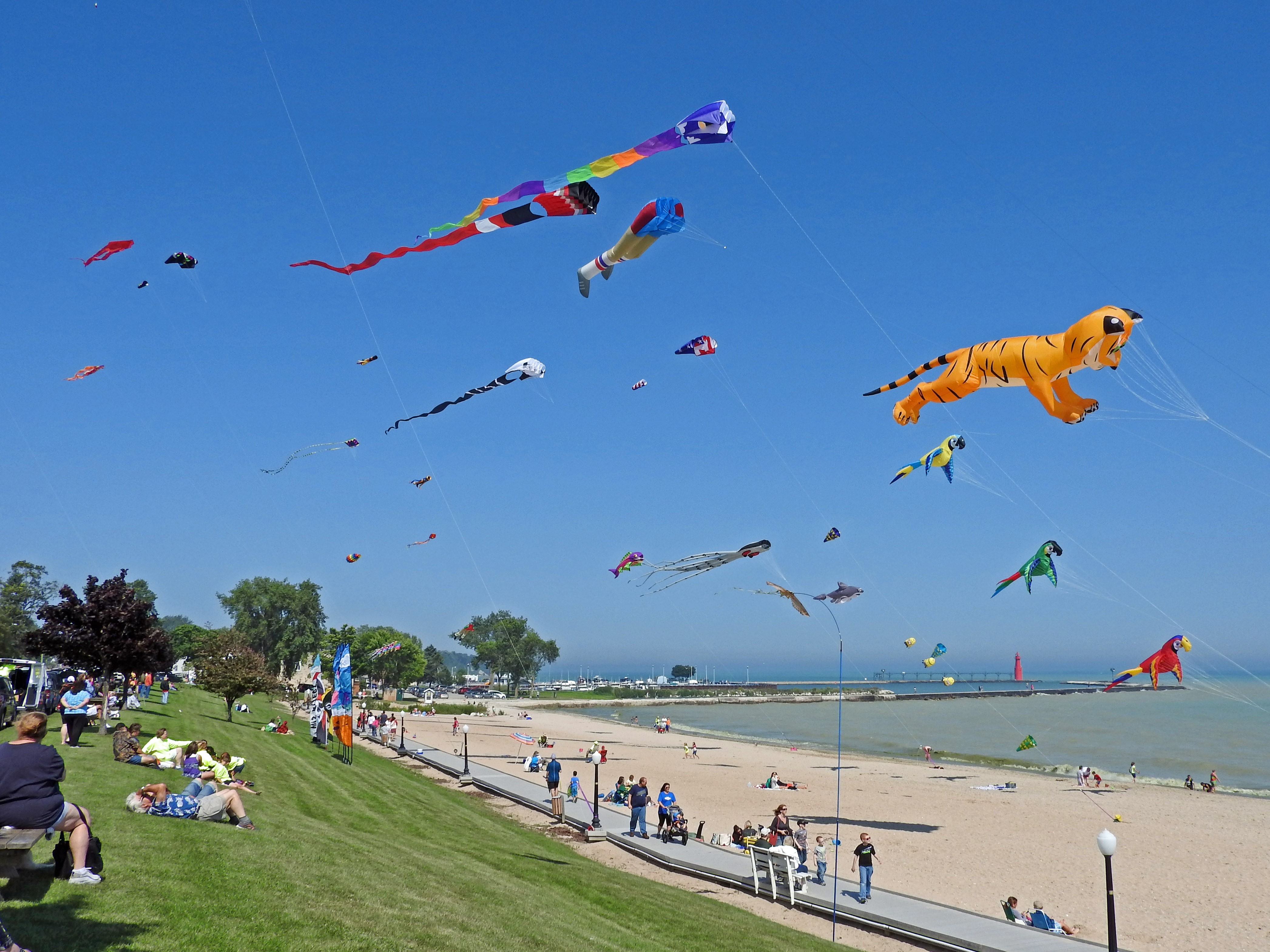 Kites 'Soar on the Shore' of Algoma's Crescent Beach Door County Pulse