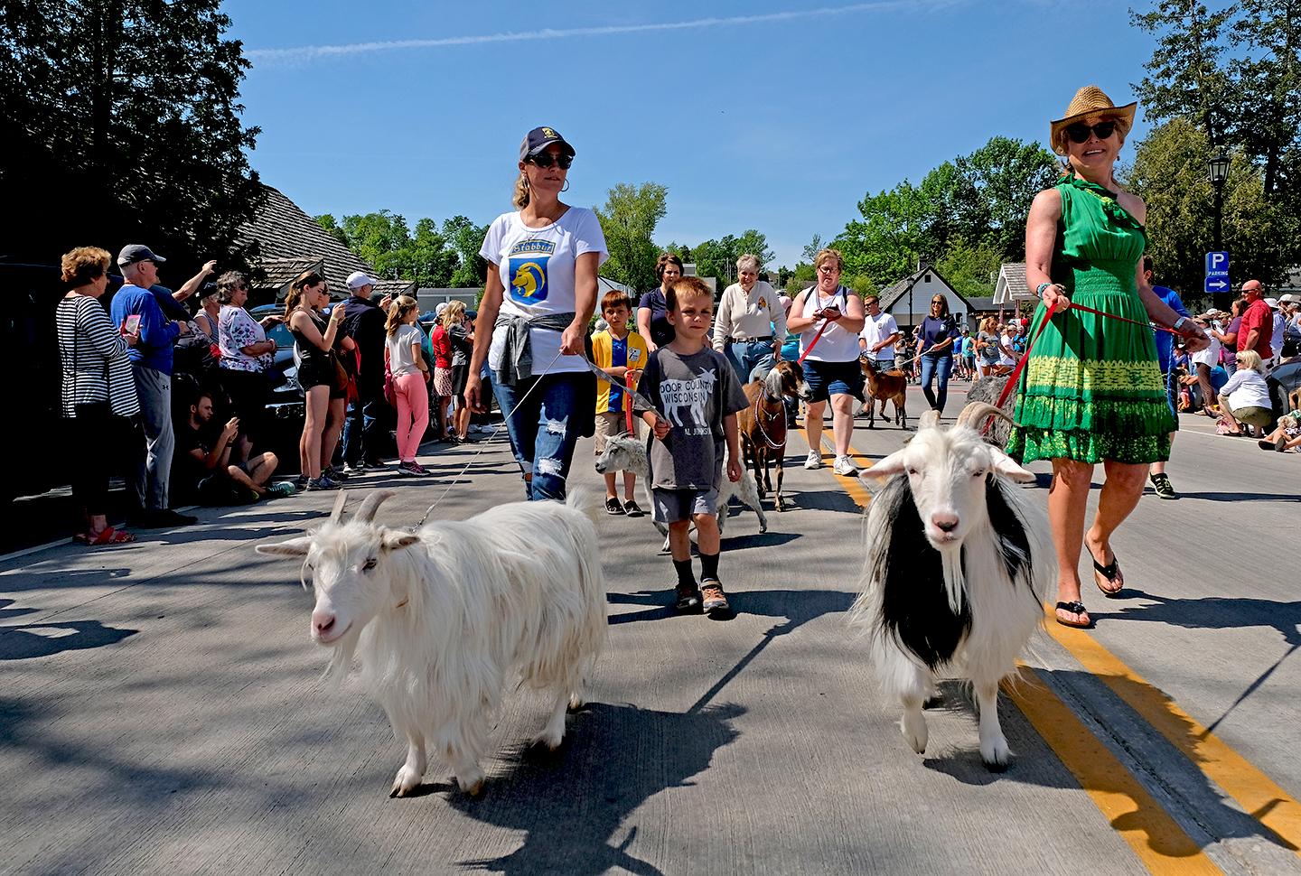 Kid's Activities Archives Page 12 of 12 Door County Pulse