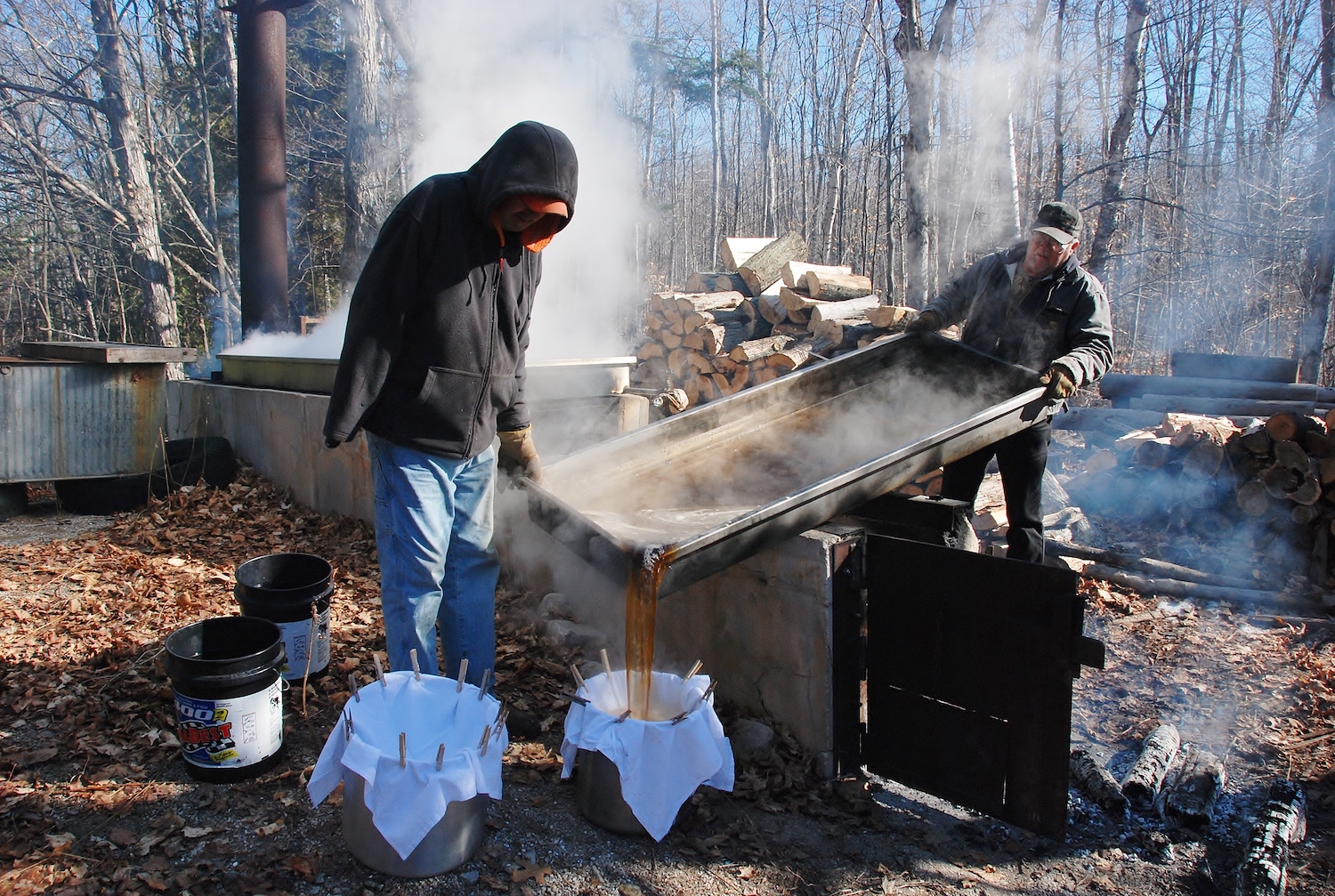 Harvesting Maple Syrup With Louis Sohns Door County Pulse
