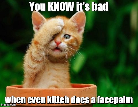 KittehFacePalm.jpg?resize=480,372&ssl=1