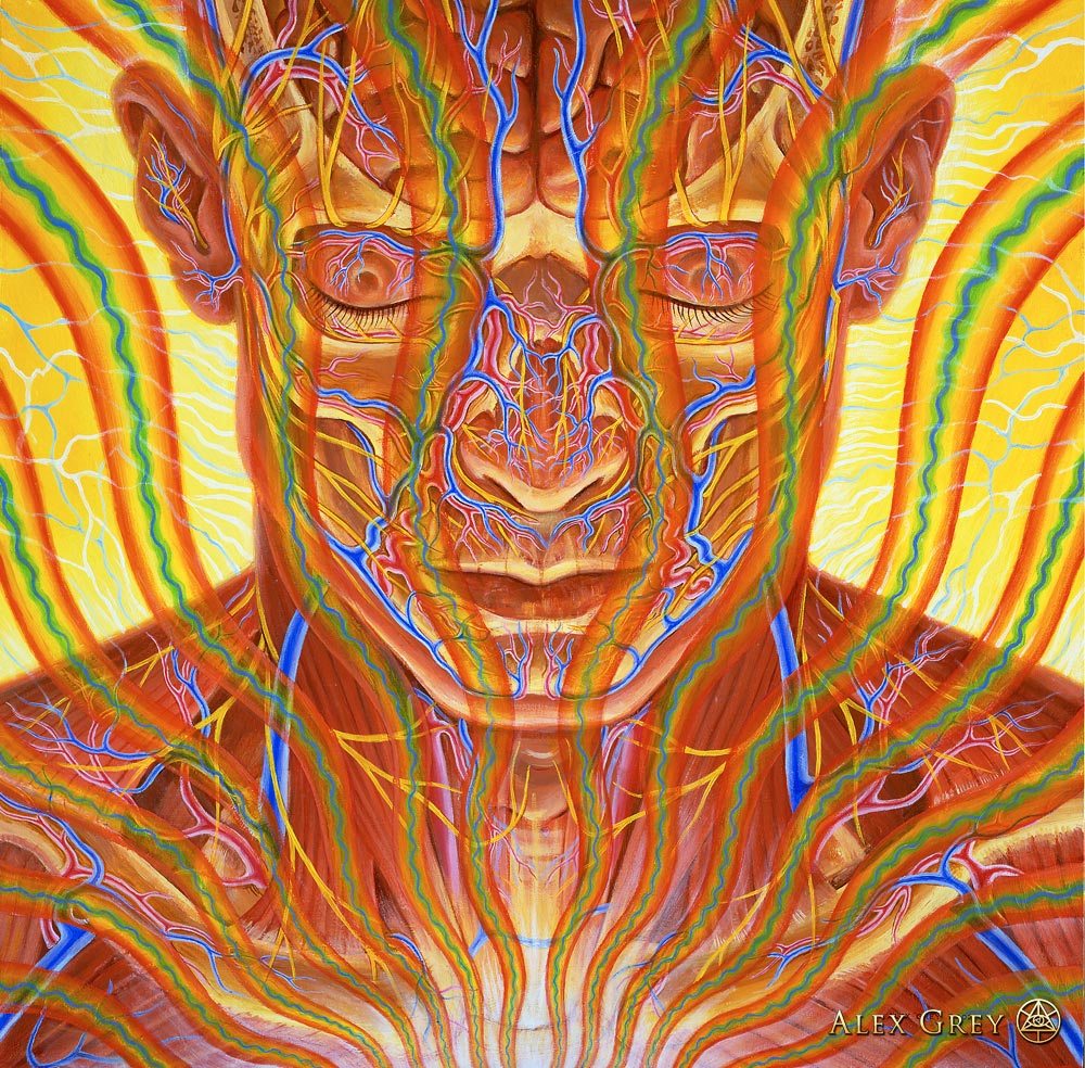 Alex Grey How Art Evolves Consciousness — DOP