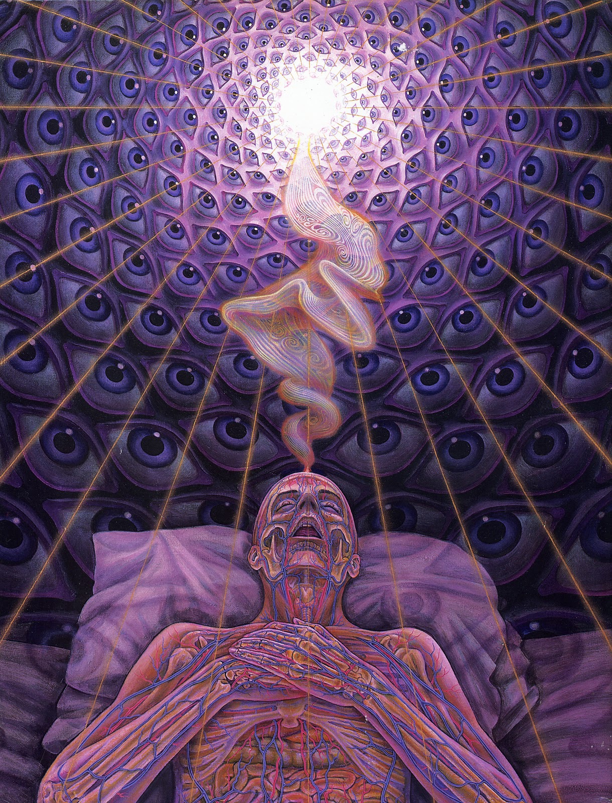 Alex Grey How Art Evolves Consciousness — DOP