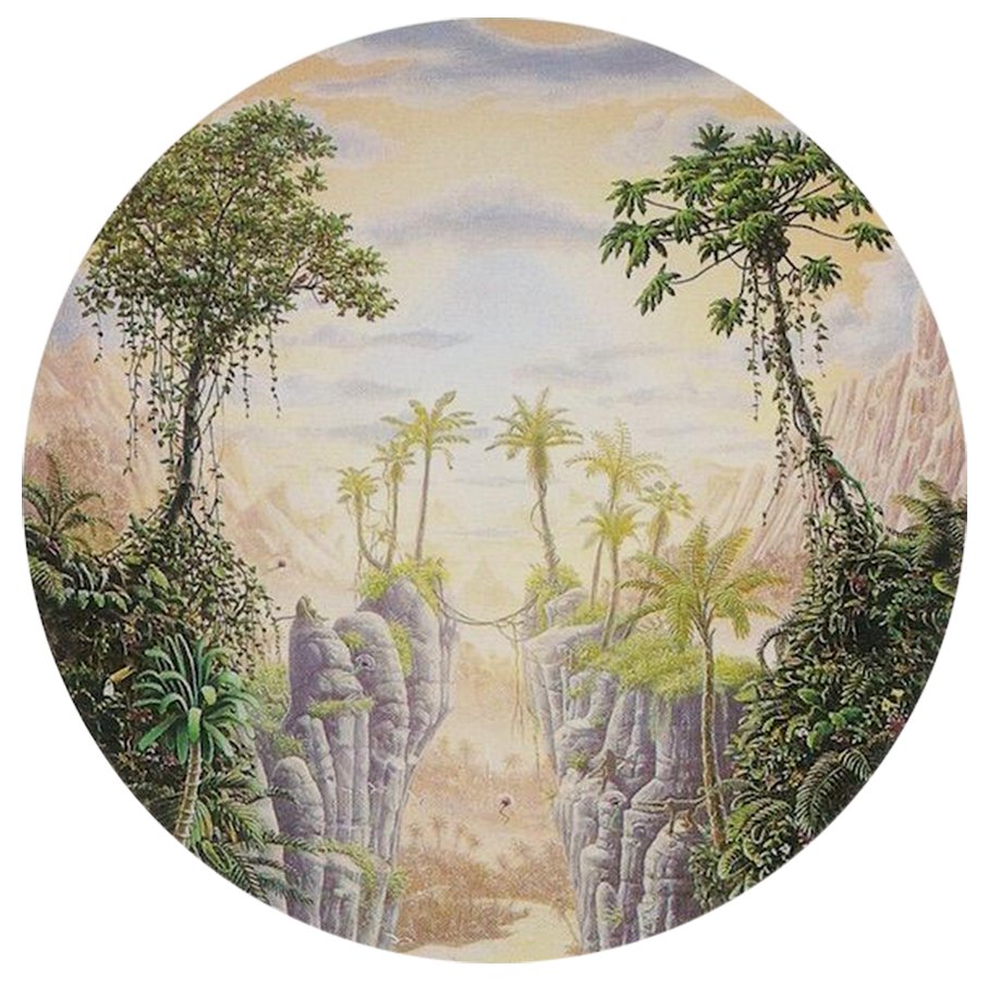 Gage Taylor The Holy Grove — DOP