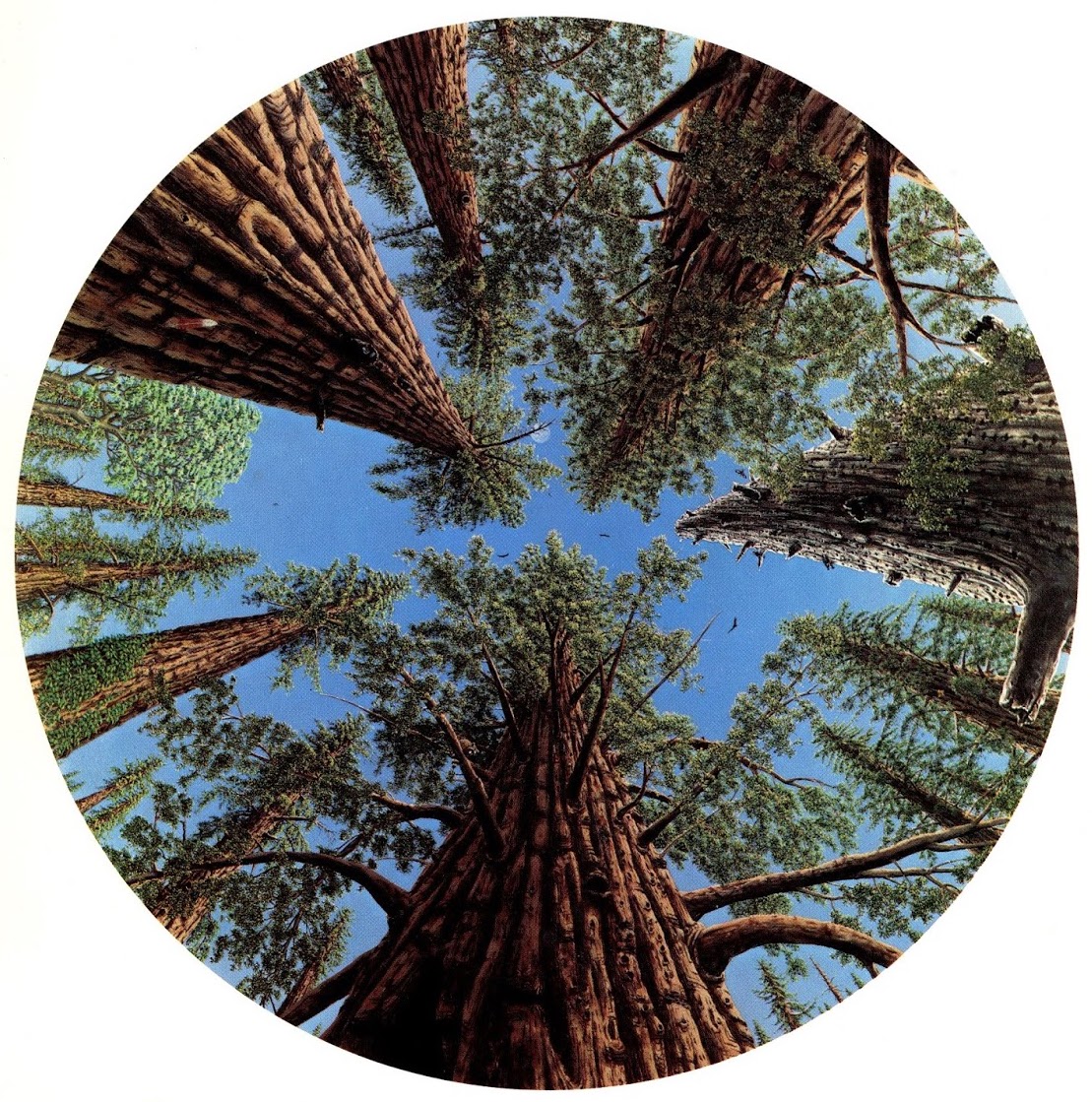 Gage Taylor The Holy Grove — DOP