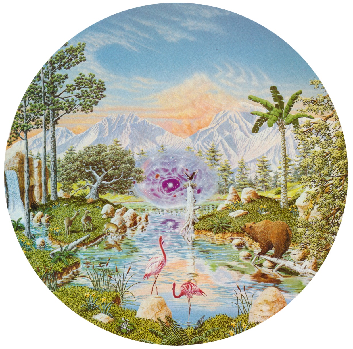 Gage Taylor The Holy Grove — DOP