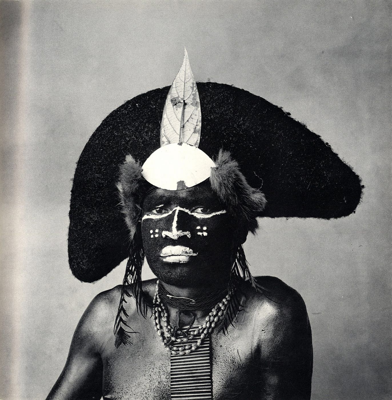 Irving Penn Worlds in a Small Room — DOP