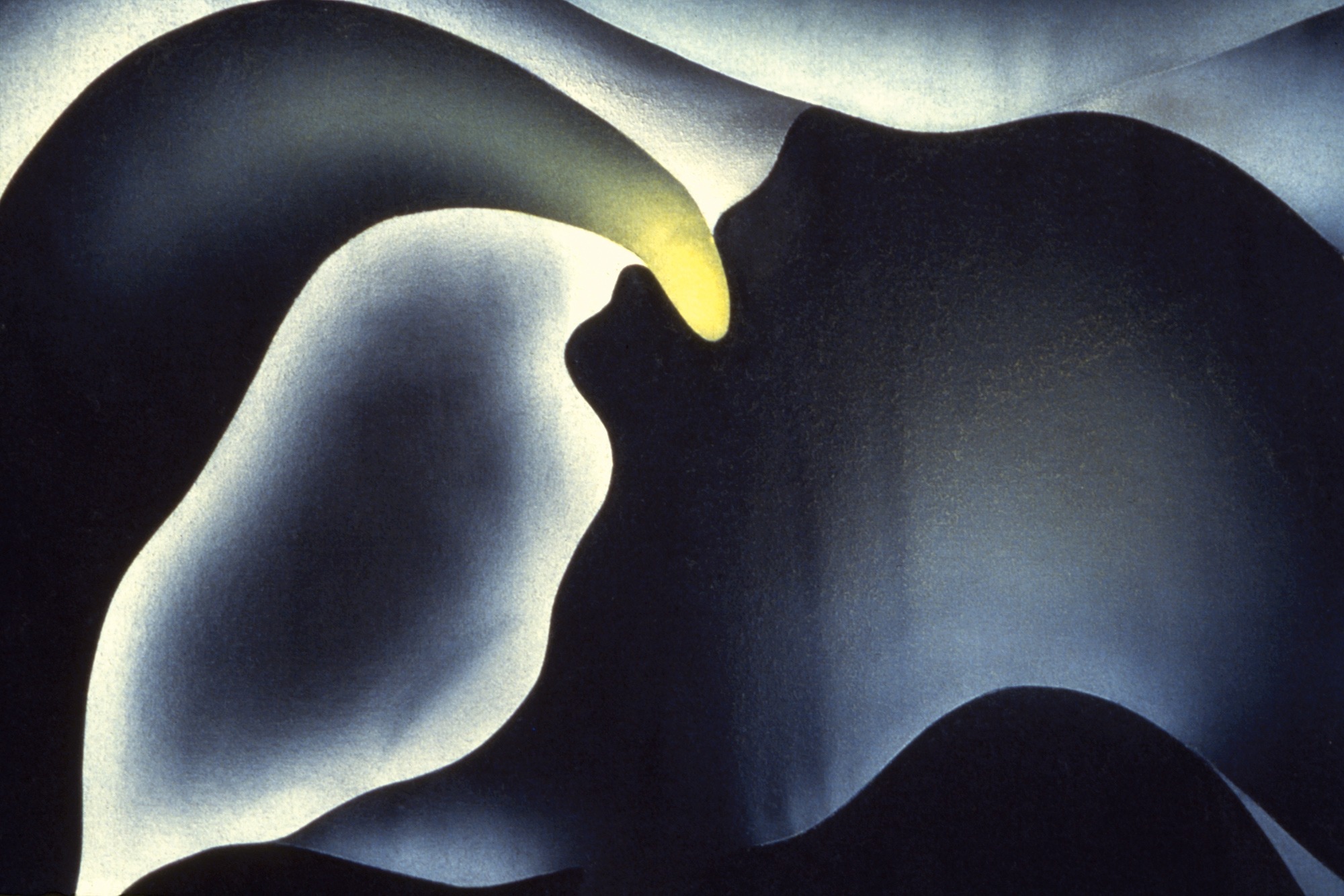 Judy Chicago Visualizing Birth — DOP