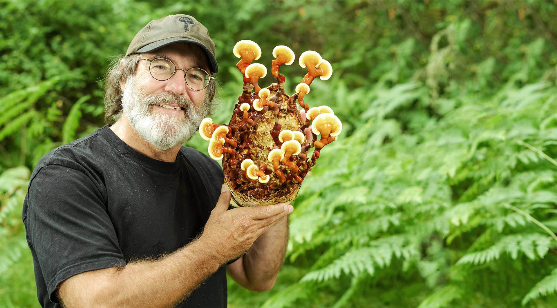 Paul Stamets The Future is Fungi — DOP
