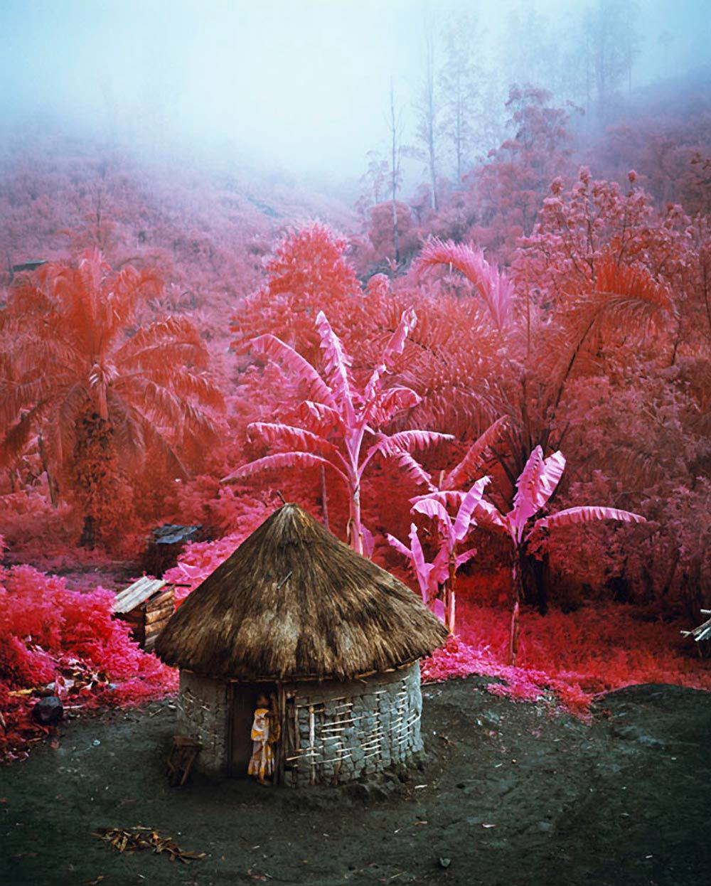 Richard Mosse The Impossible Image — DOP