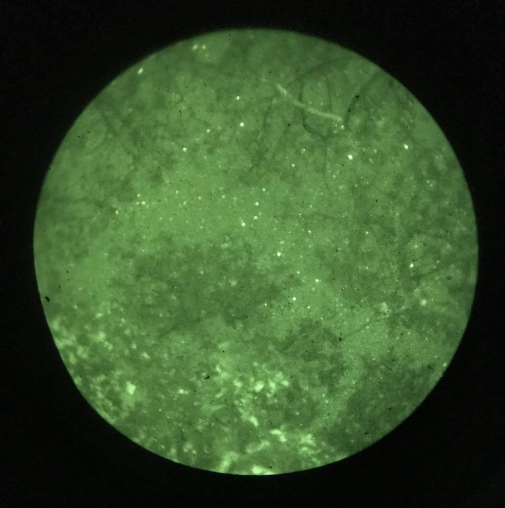 8 Best Night Vision Binoculars for Stargazing [Reviewed] DopeGuides