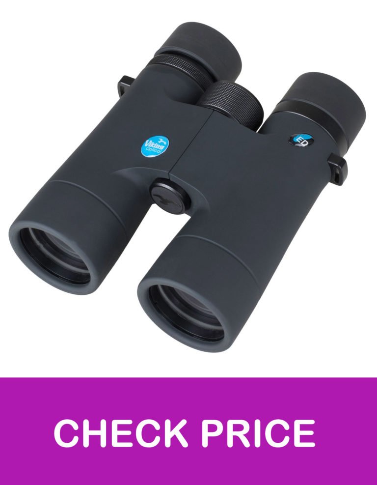 13 Best 10x42 Binoculars UK in 2021【Reviewed】 DopeGuides