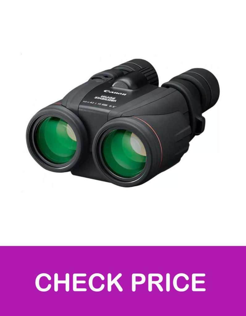 13 Best 10x42 Binoculars UK in 2021【Reviewed】 DopeGuides
