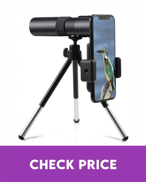 11 Best Monoculars for Bird Watching UK in 2022【Reviewed】