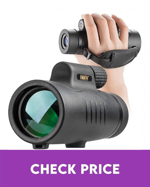 11 Best Monoculars for Bird Watching UK in 2022【Reviewed】