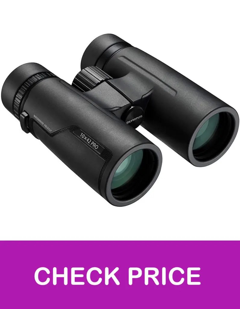 13 Best 10x42 Binoculars UK in 2021【Reviewed】 DopeGuides