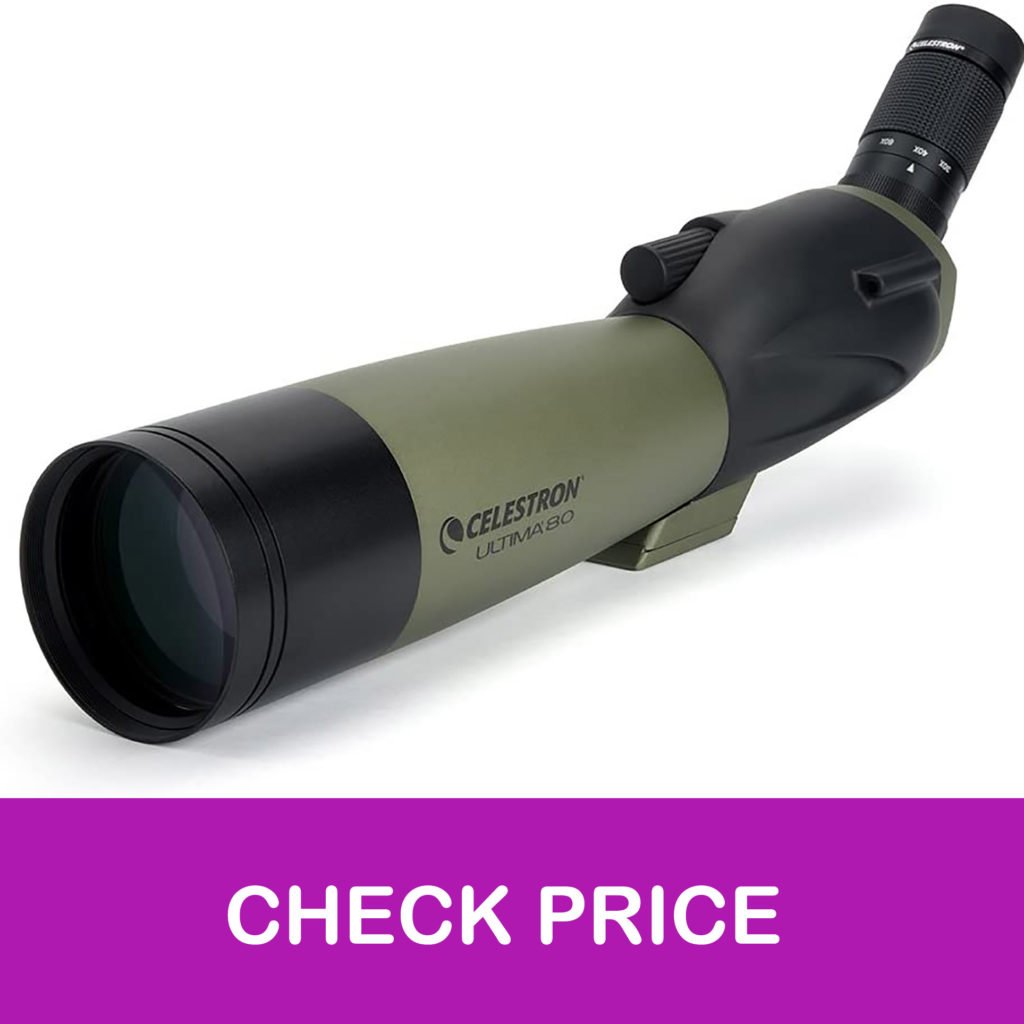 11 Best Monocular for Bird Watching in 2021 【Reviewed】 DopeGuides