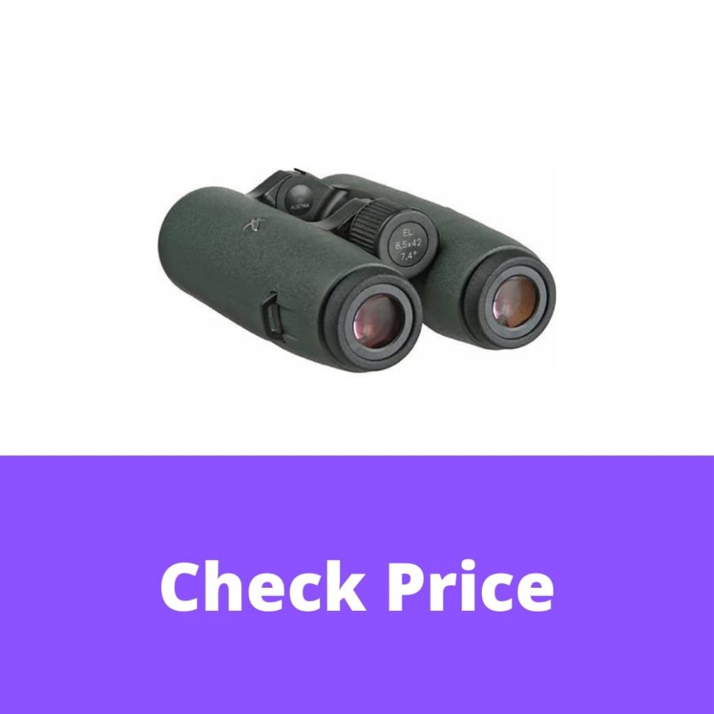 12 Best Swarovski Binoculars in 2022 【Reviewed】 DopeGuides