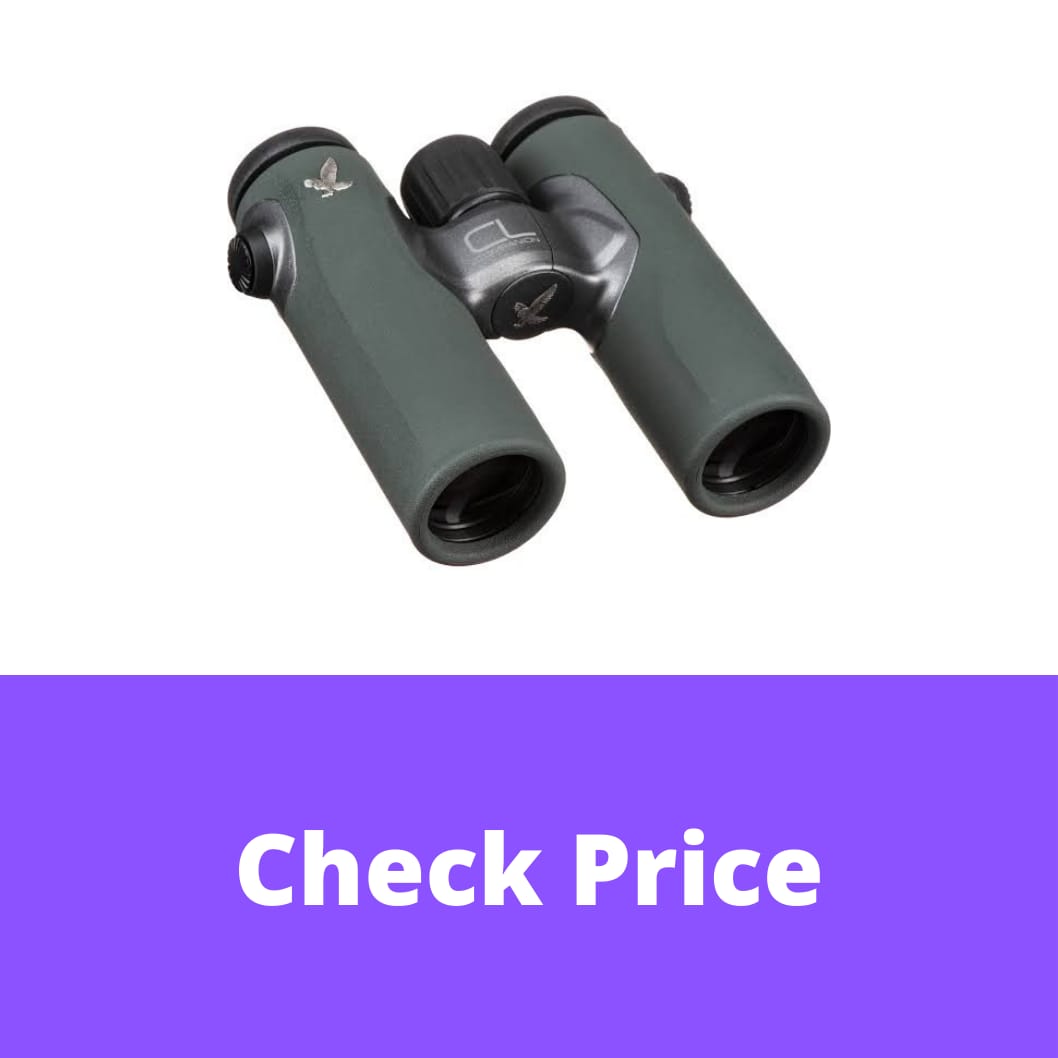12 Best Swarovski Binoculars in 2022 【Reviewed】 DopeGuides