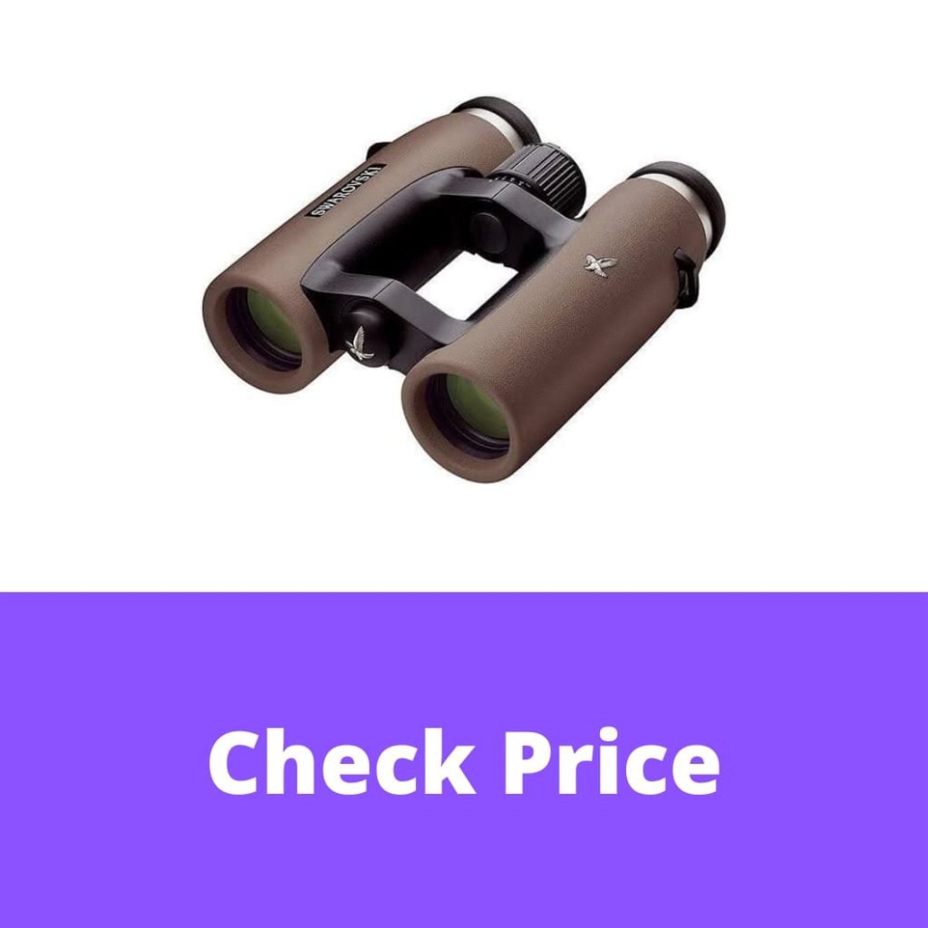 12 Best Swarovski Binoculars in 2022 【Reviewed】 DopeGuides