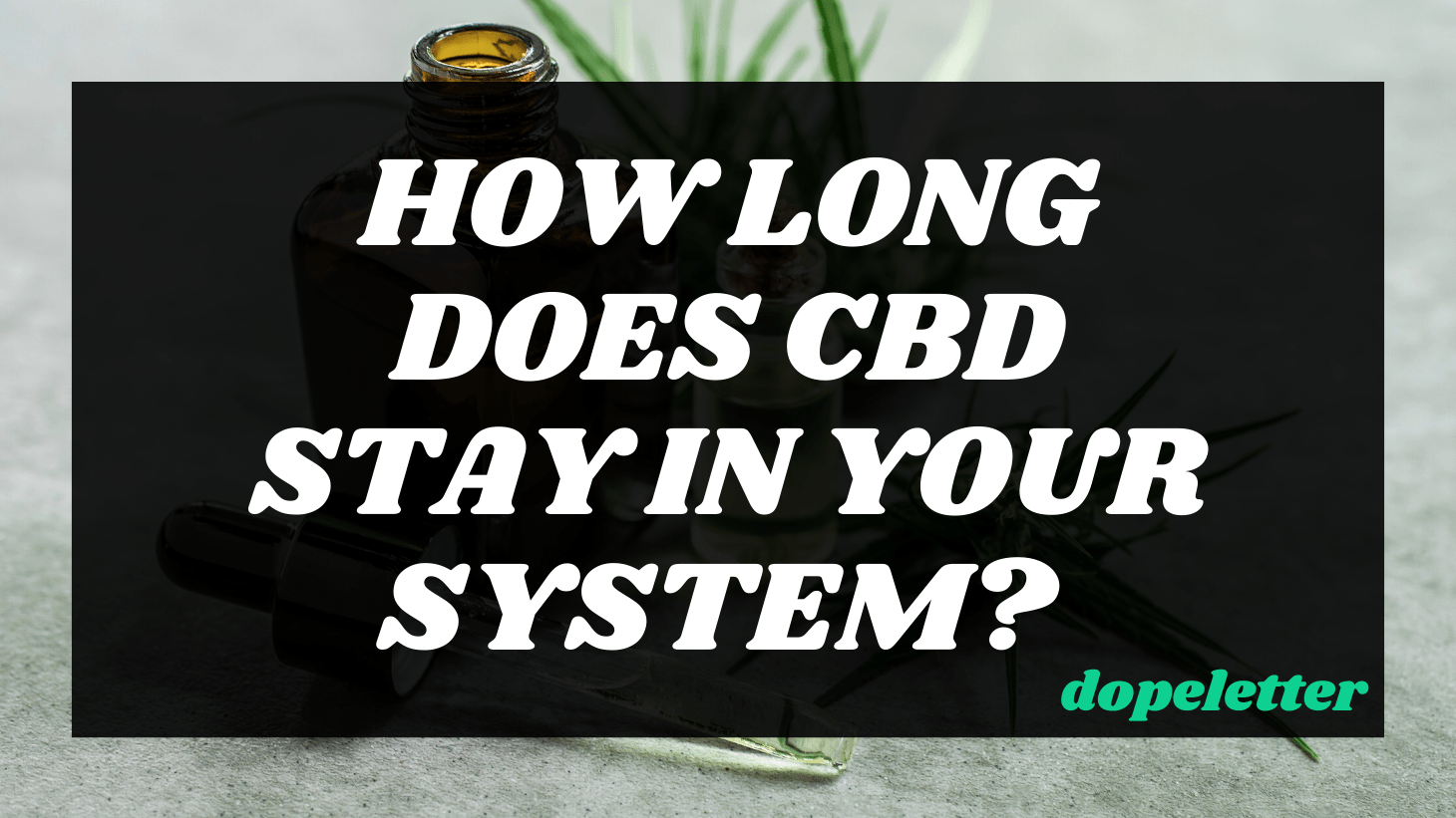 How Long Does CBD Stay in Your System? Dopeletter
