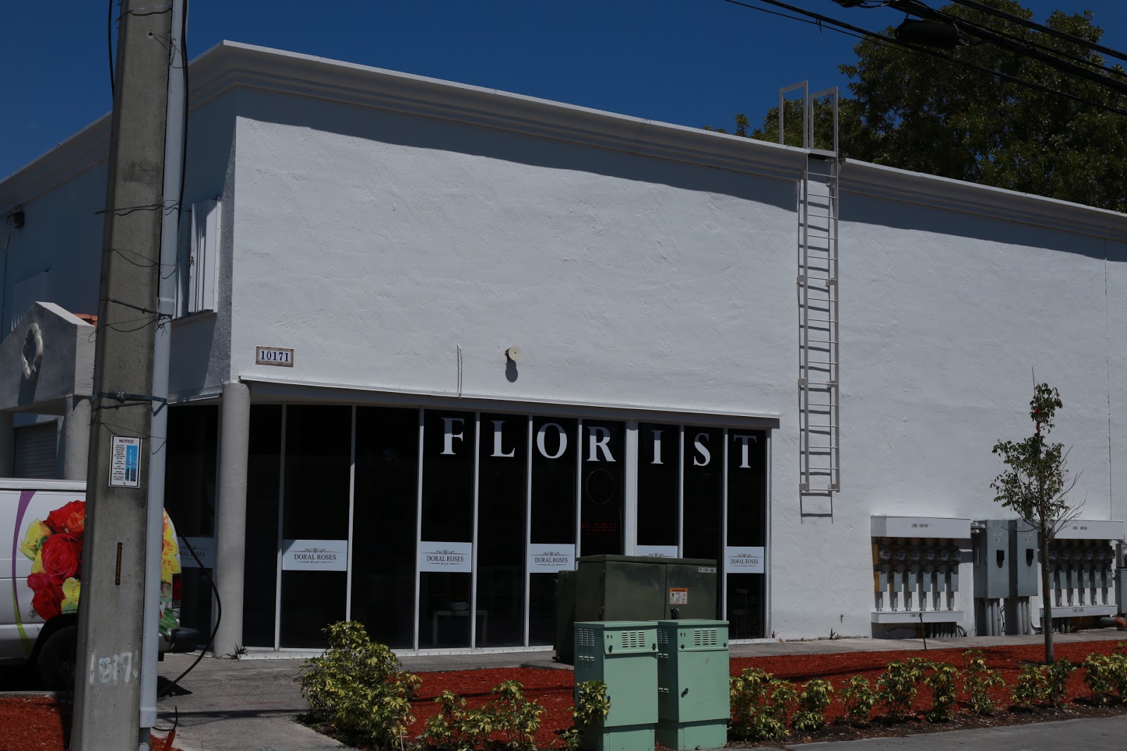Doral Roses Miami » Florist in Doral FL