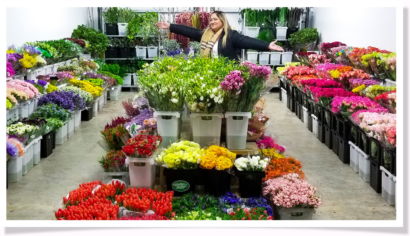Home Jet Fresh Flower Distributors Wholesale Flower Distributor