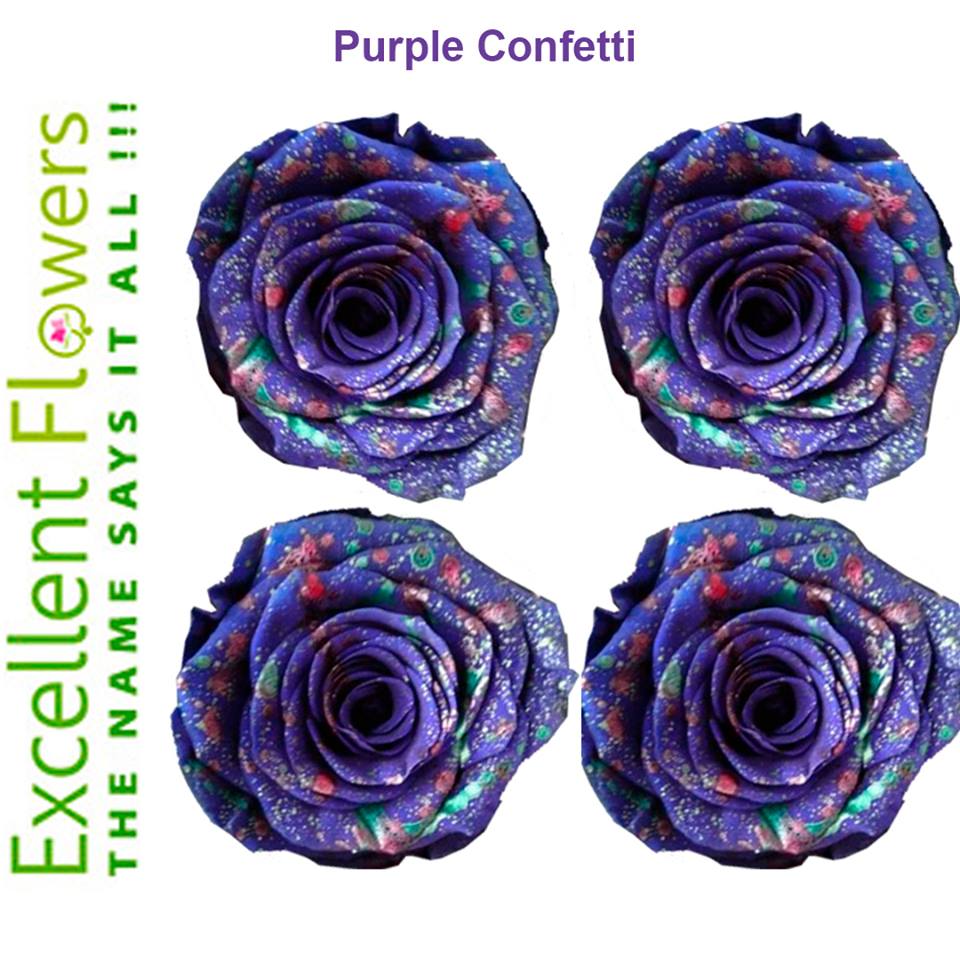 Wholesale Preserved Roses » Establishment in Doral FL