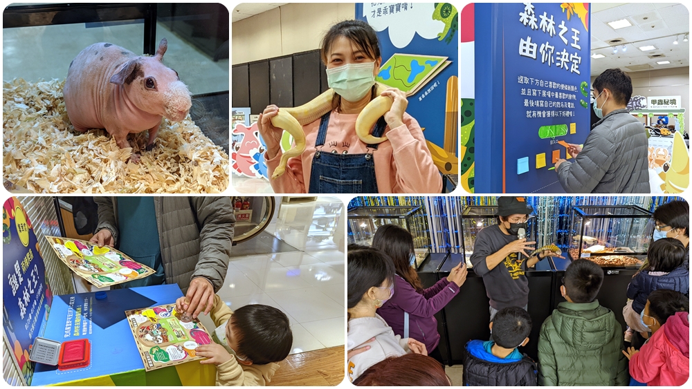新光三越台北站前店13樓活動 | 至3月7日止【兩棲爬蟲誰是森林之王】免費入場