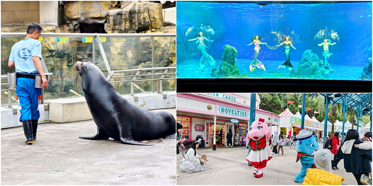 花蓮親子旅遊【遠雄海洋公園攻略】2026必玩設施、表演時間、行程規劃全解析
