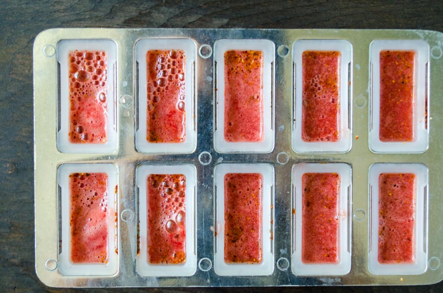 Watermelon Paleta Shot « Dora's Table