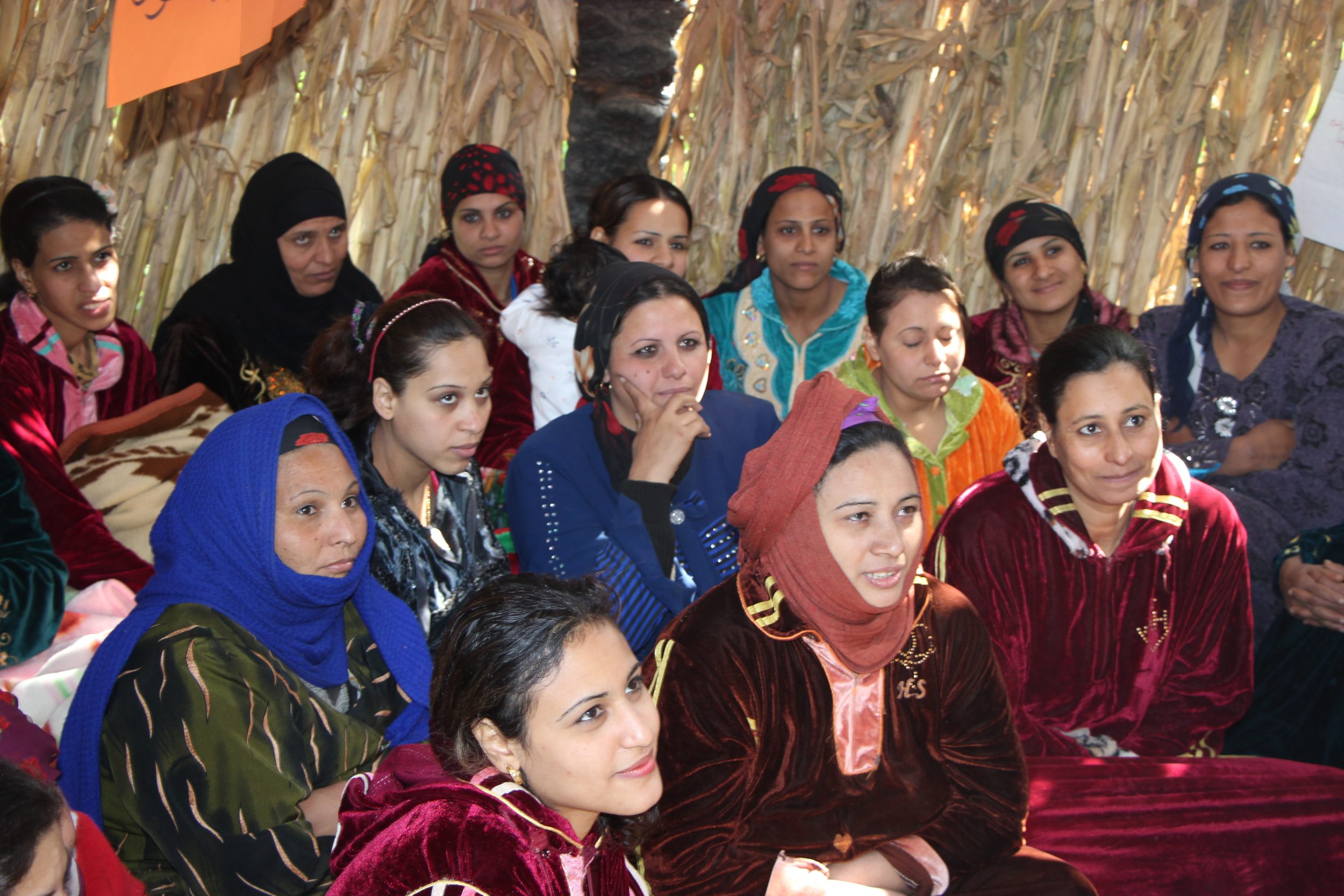 Women's Rights in Egypt Dorcas