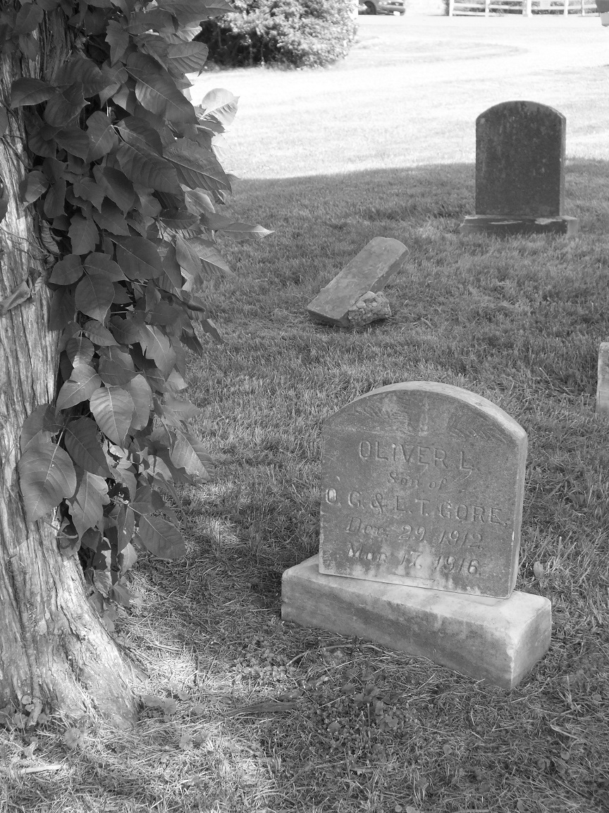 Greenlawn Cemetery Dorchester Graves