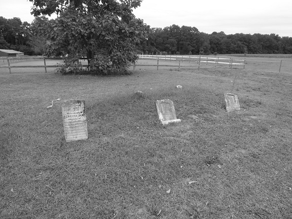 Fooks Mill Plot Dorchester Graves