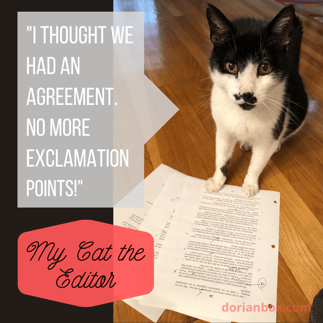 MY CAT THE EDITOR Exclamation marks » dorian box