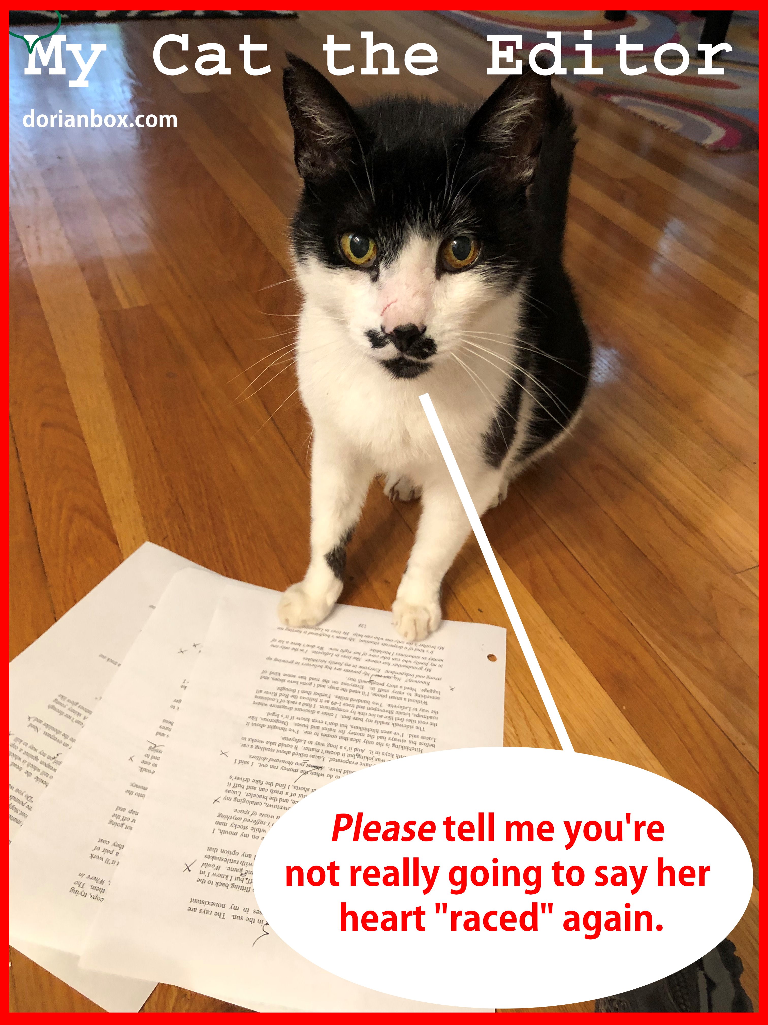 My Cat the Editor 1 » dorian box