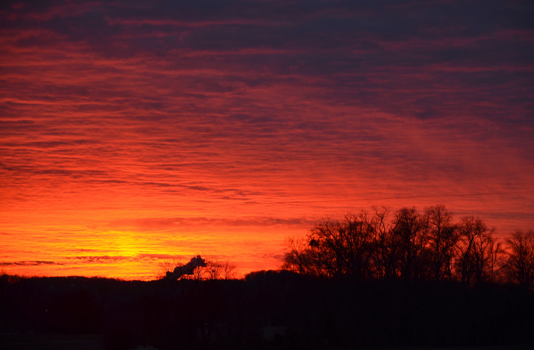 Praise The Lord O My Soul My Journey By Doris High - 