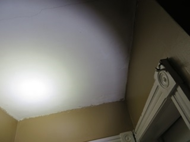 Infrared Thermal Imaging DoRite Property Inspections