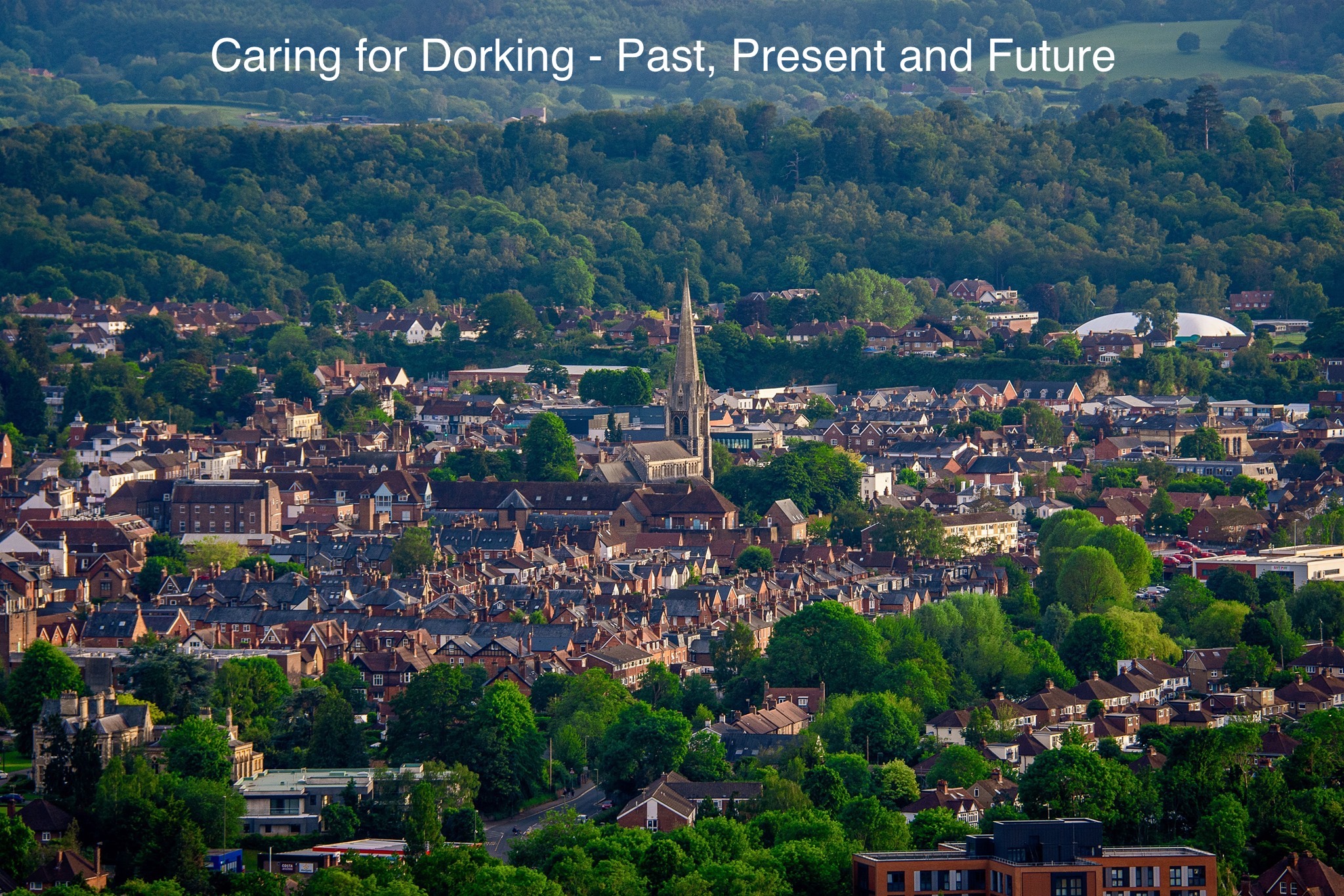 Dorking Society