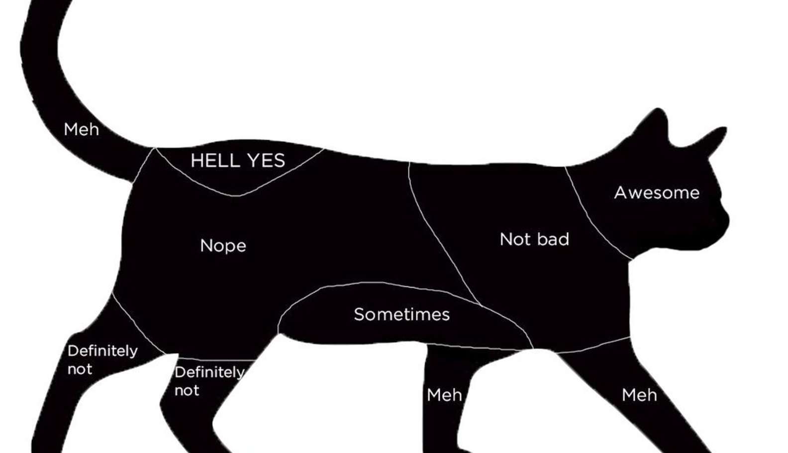 WHERE DO CATS LIKE TO BE STROKED THE MOST? FULL GUIDE