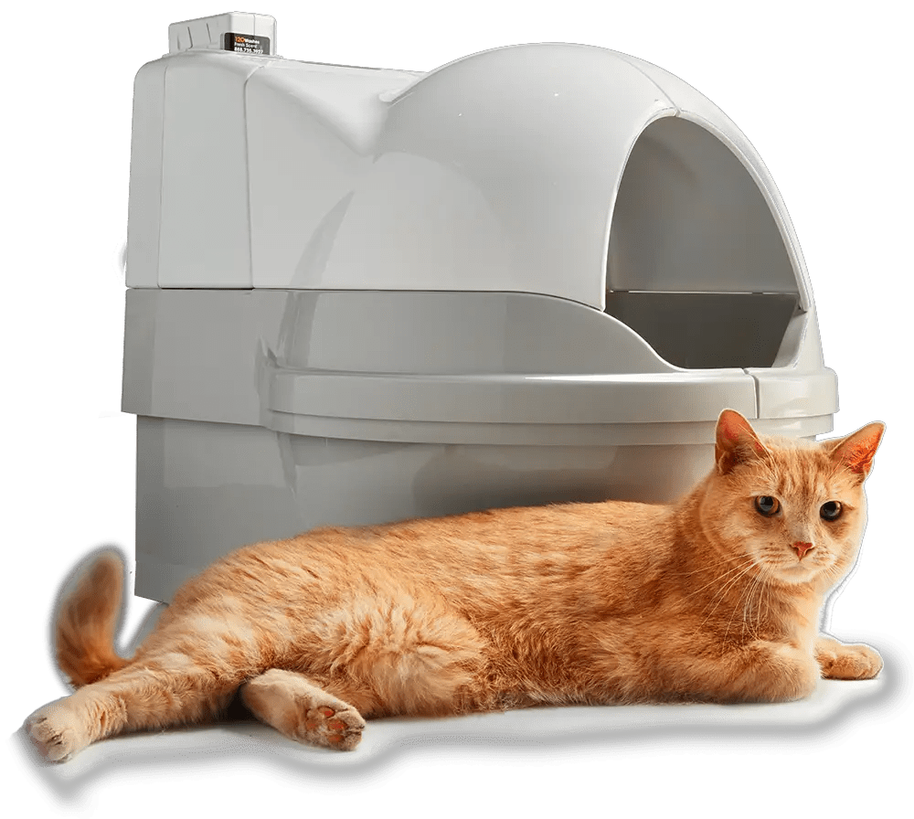 9 BEST AUTOMATIC LITTER BOXES TO TRY!