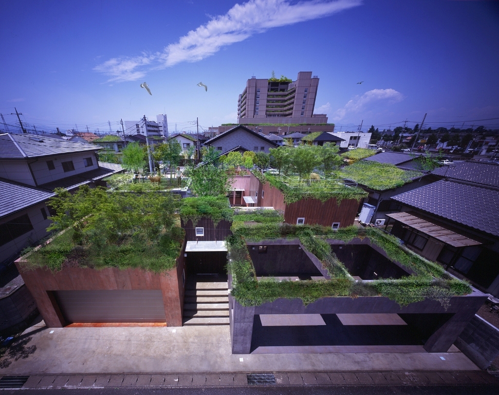 Secret Garden Orchard on Home Rooftop Designs & Ideas on Dornob