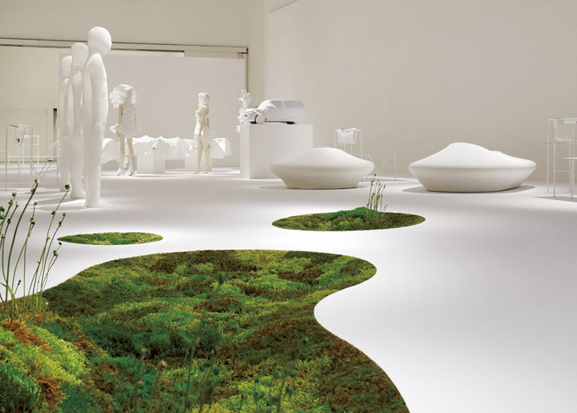 Grow a Living Moss Carpet In Your Home Designs & Ideas on Dornob