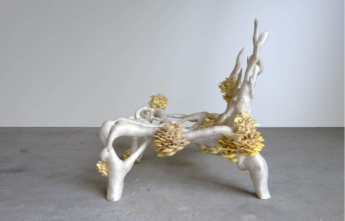 Fungus Chair Grows on 3DPrinted Mould Designs & Ideas on Dornob